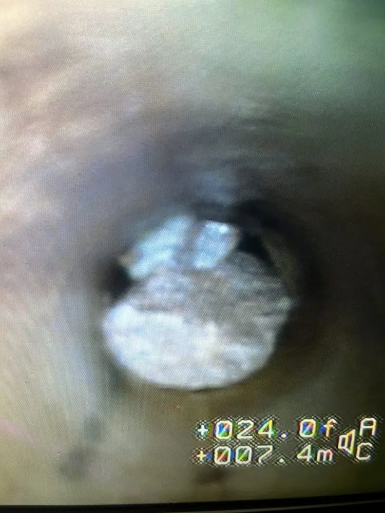 Slide of Freddy’s Fox Rooter