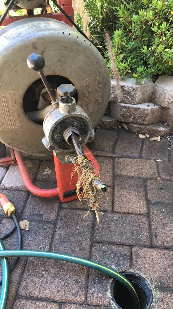 Professional drain cleaning service in Pasadena, CA - Free Flo Rooter & Plumbing