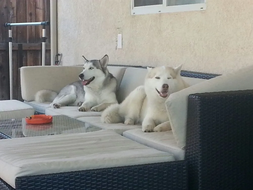 Slide of Free Flo Rooter & Plumbing