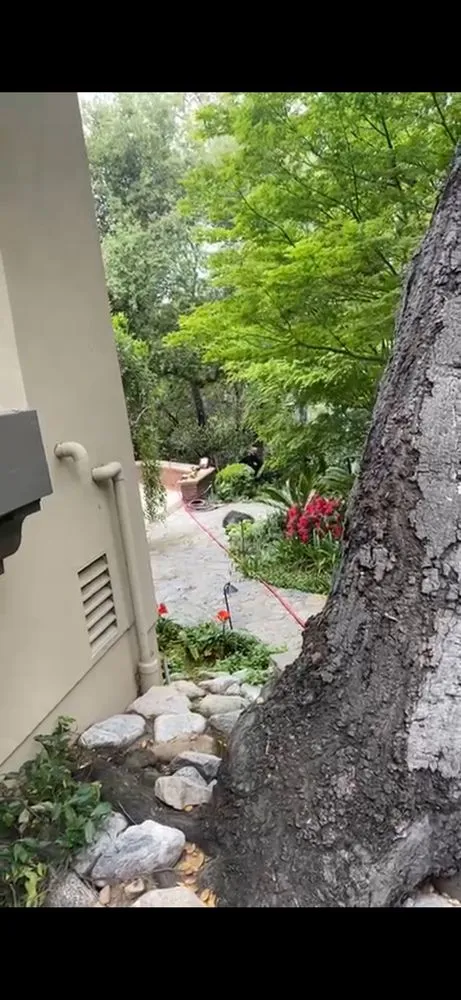 Slide of Free Flo Rooter & Plumbing