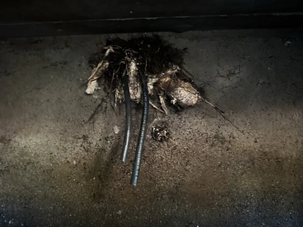 Slide of Free Flo Rooter & Plumbing