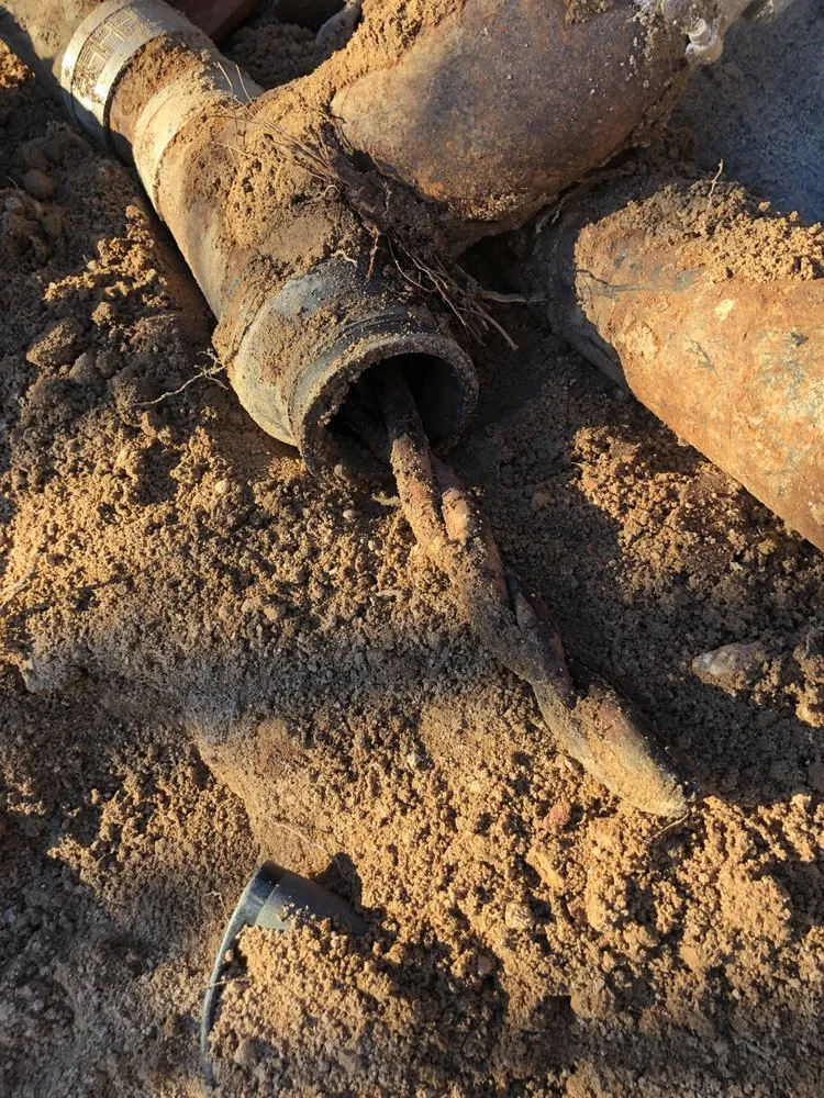 Slide of Free Flo Rooter & Plumbing