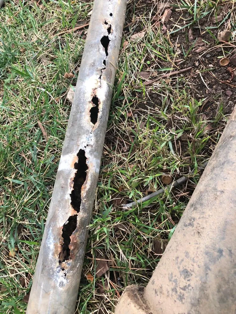 Reliable drain cleaning experts serving Simi Valley, CA - Free Flo Rooter & Plumbing