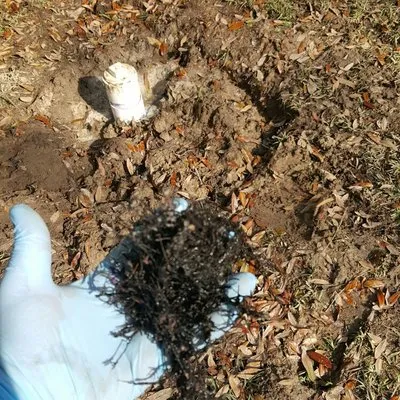 Free-Flow Sewer and Drain Logo