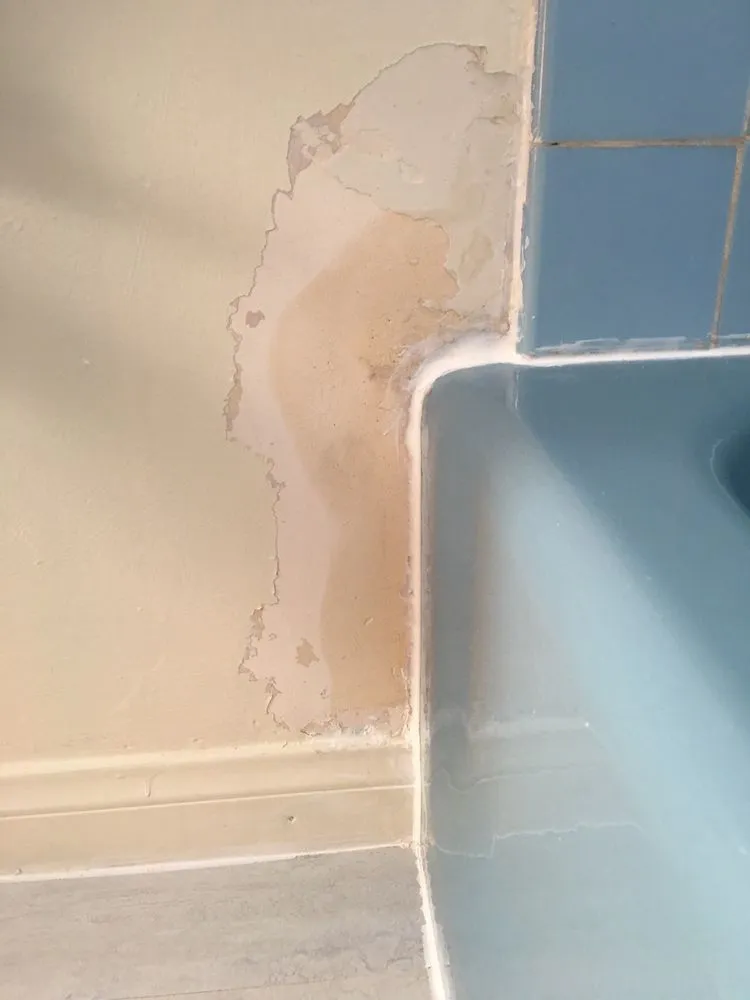 Emergency emergency plumbing in Anaheim, CA by Freedom First Plumbing