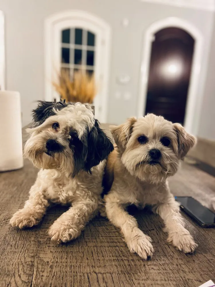 Slide of Freedom Heating Cooling & Electrical