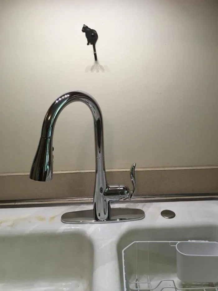 Slide of Freedom Plumbing Service