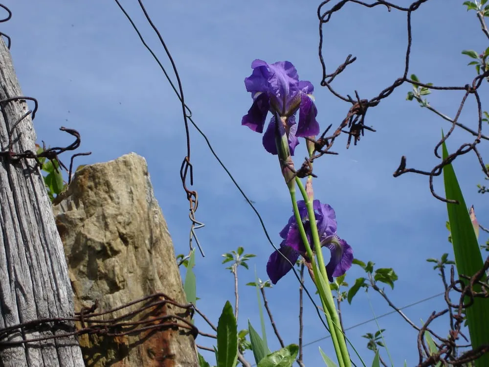 Slide of Freedom Pump & Well Services