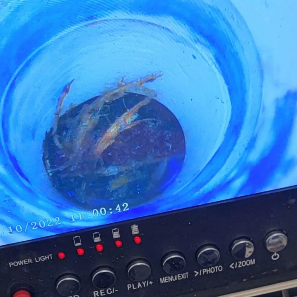 Slide of FreeFlow Plumbing