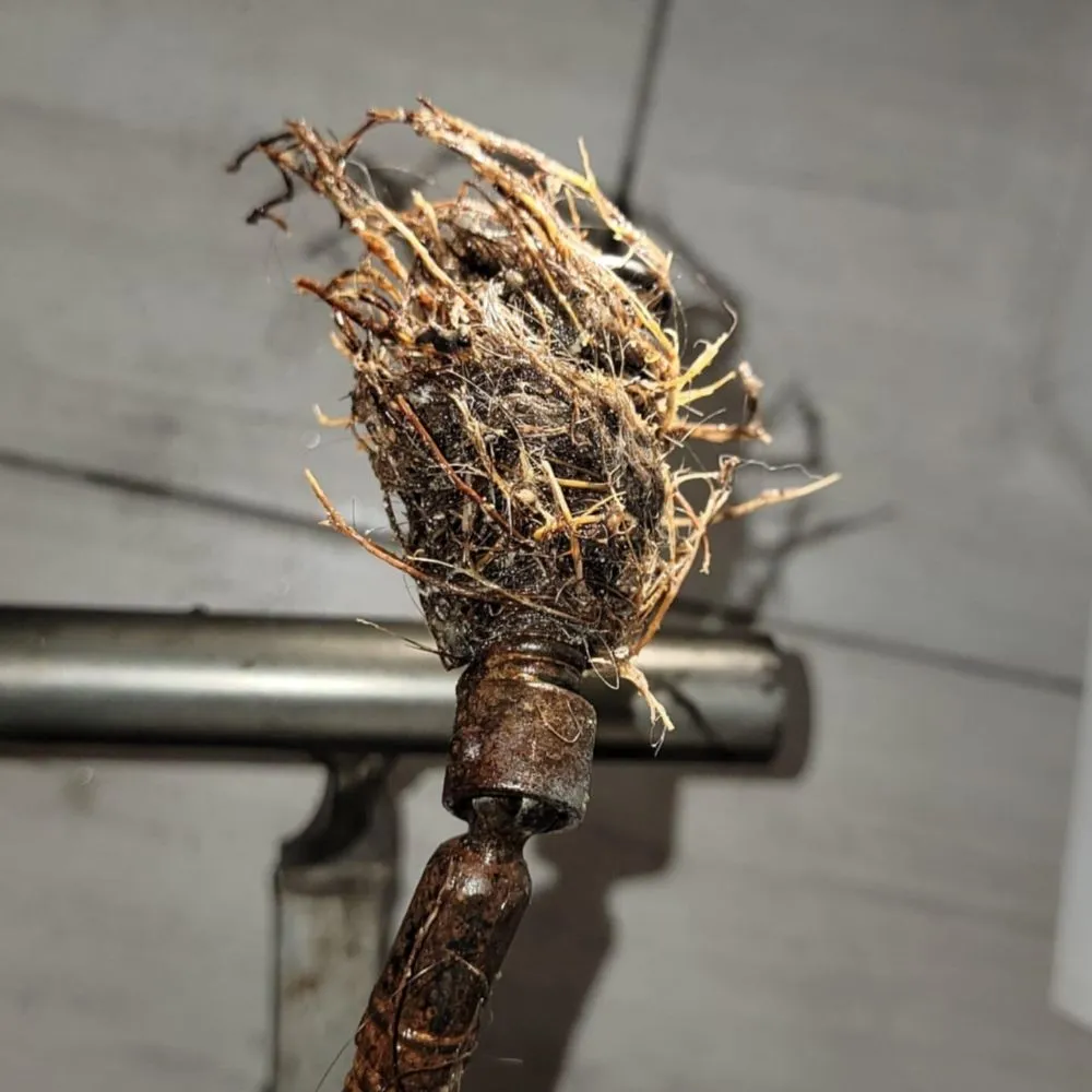 Slide of FreeFlow Plumbing