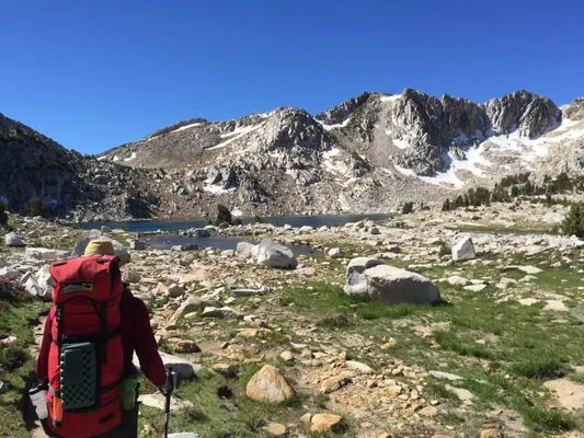 French Connection for Plumbing Logo