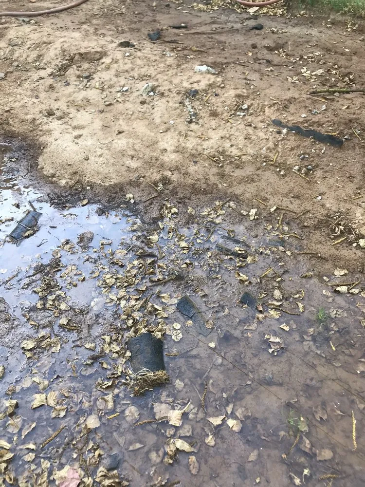 Trusted emergency plumbing for homes in Fair Oaks, CA by French Connection Plumbing