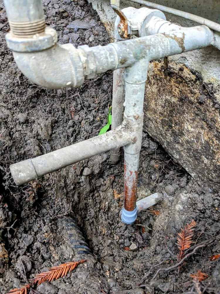 Slide of Frenchie's Plumbing