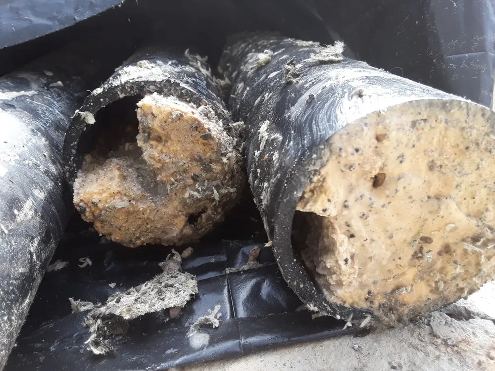 Slide of Frenchy's Plumbing