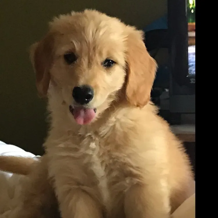 Slide of Friends & Family Plumbing & Drain Cleaning