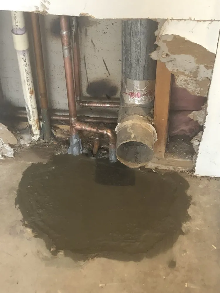 Slide of Friend's Plumbing