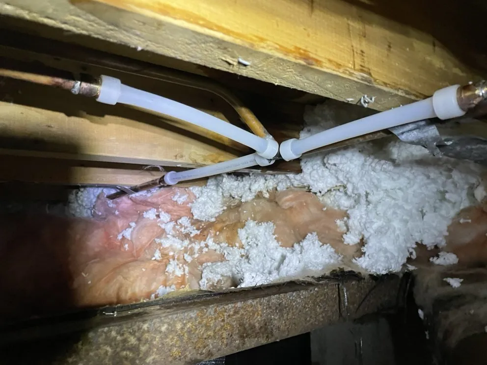 Slide of Frogger Plumbing