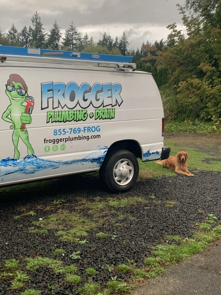 Slide of Frogger Plumbing