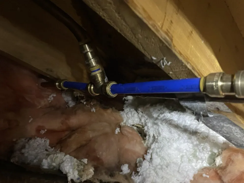 Slide of Frogger Plumbing