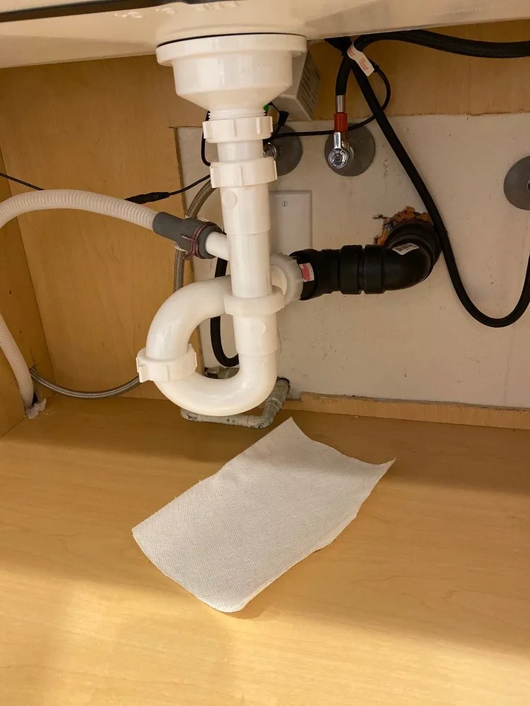 Slide of Frogger Plumbing