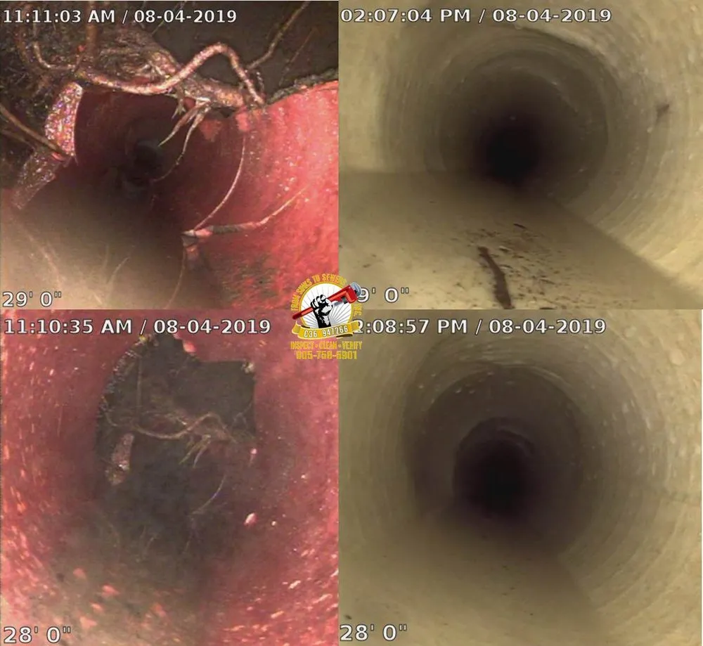 Slide of From Sinks To Sewers