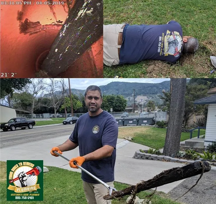 Slide of From Sinks To Sewers