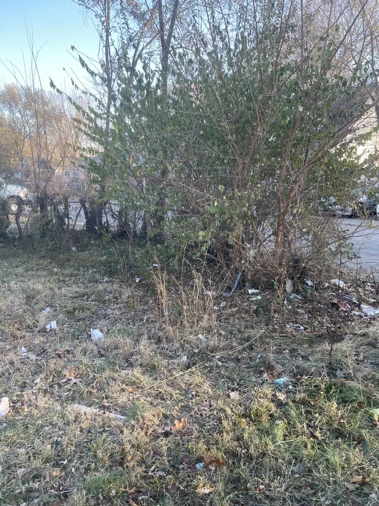 Slide of Frye Excavations