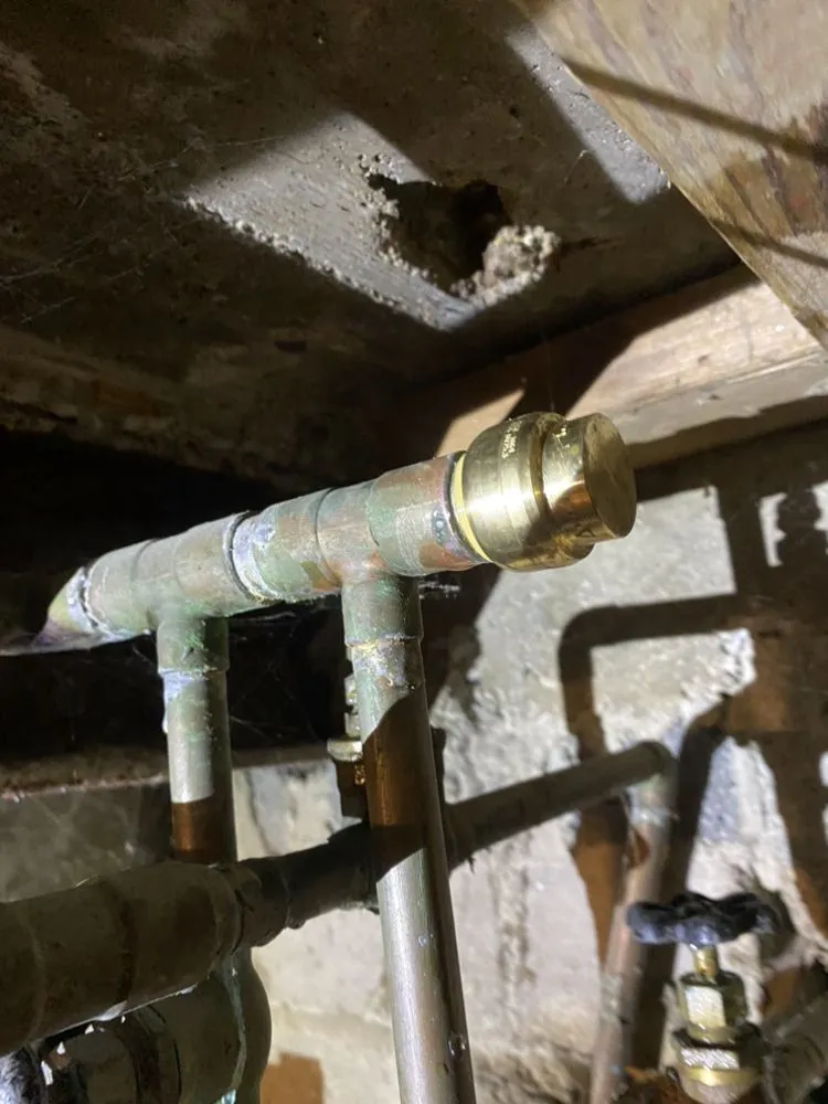 Slide of Fuc’s ya’s plumbing