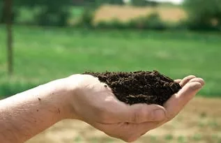 Slide of Full Cesspool Plumbing Service