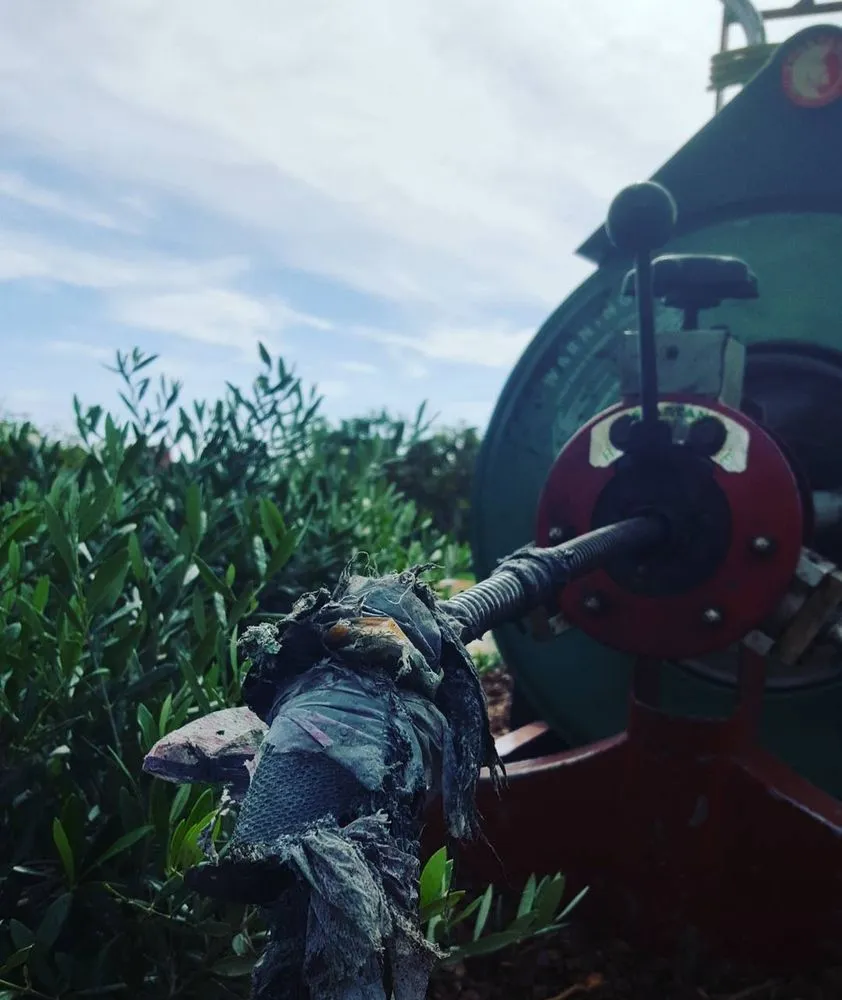 Top-rated water heater service service in Santa Ana, CA - Full Flow Plumbing Services