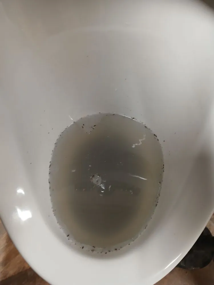 Professional drain cleaning in Albany, NY by Fullerton Plumbing And Drain Cleaning