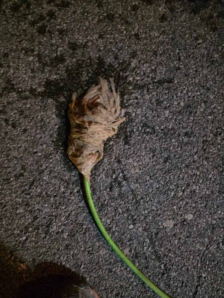 Slide of Fullerton Plumbing And Drain Cleaning