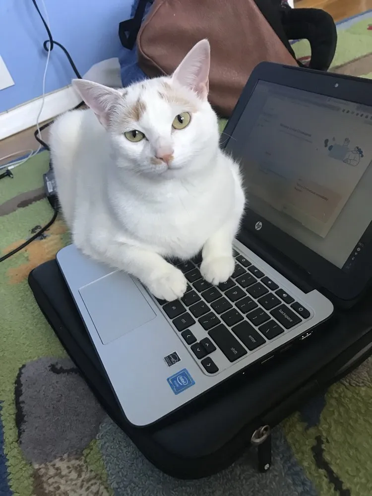 Slide of Fuschillo Plumbing