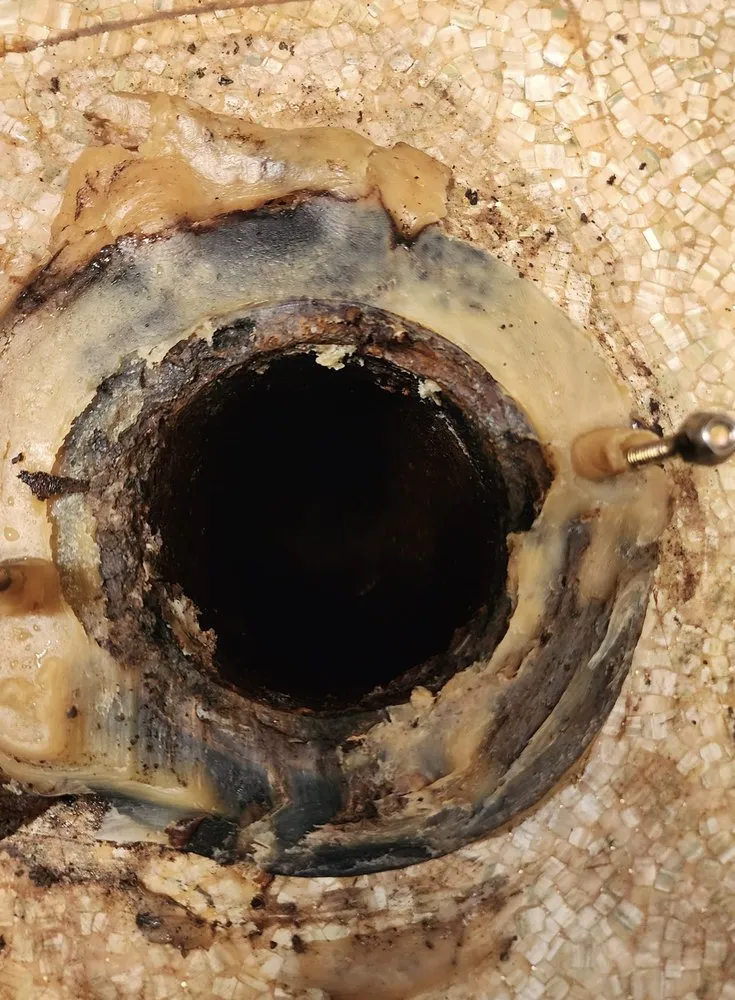 Slide of Future Services