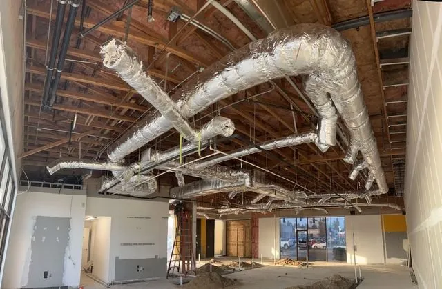 Slide of Fynaut & Johnson