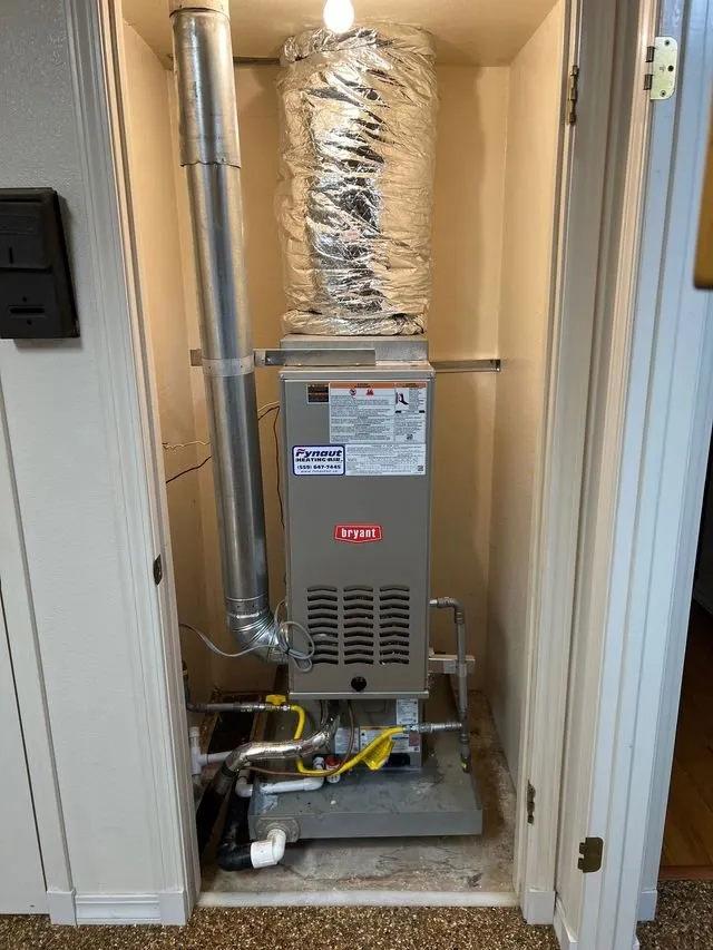 Slide of Fynaut & Johnson