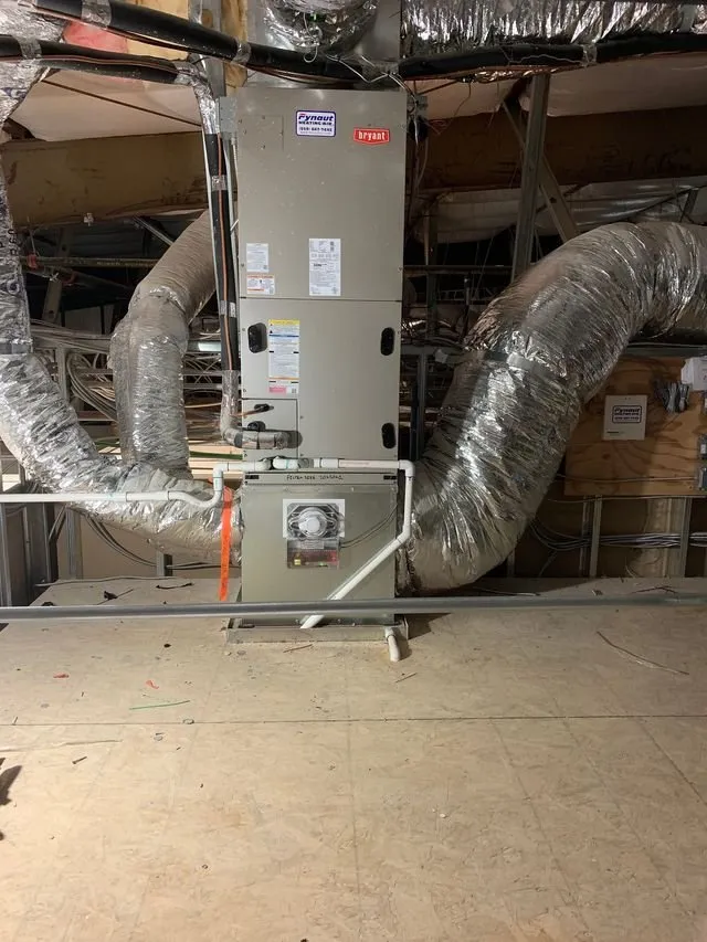 Slide of Fynaut & Johnson