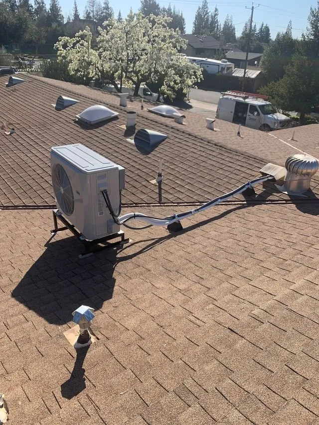 Slide of Fynaut & Johnson