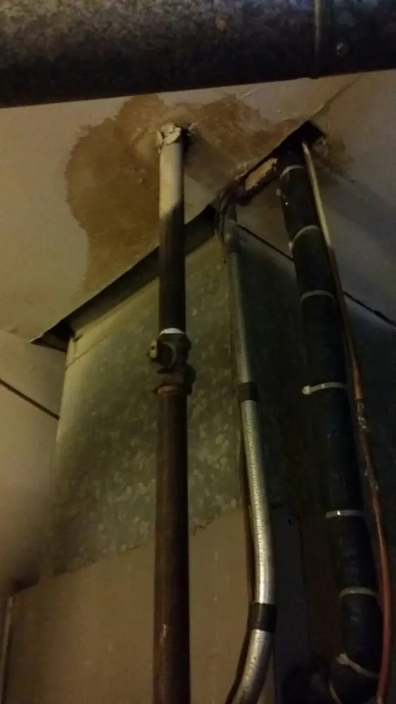 Expert water heater service experts serving Oley, PA - G Bass