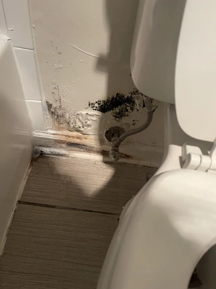 Slide of G2 Home Services