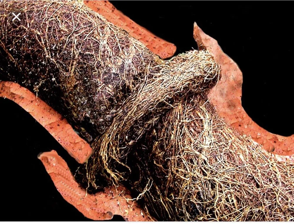 Slide of Gabe Harris Plumbing