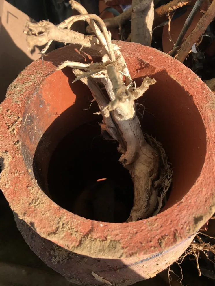 Slide of Gallegos Plumbing