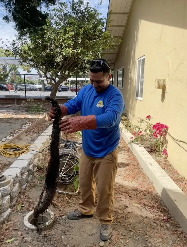 Expert drain cleaning service in Hayward, CA - Gallo’s Plumbing & Rooter