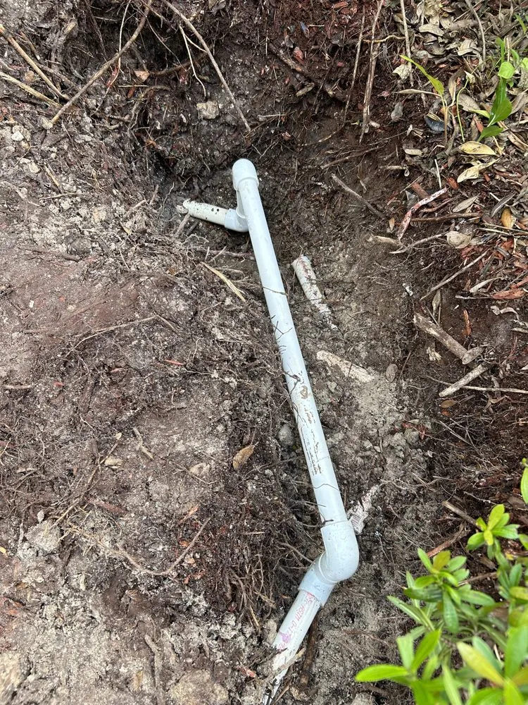 Slide of Gambino Service