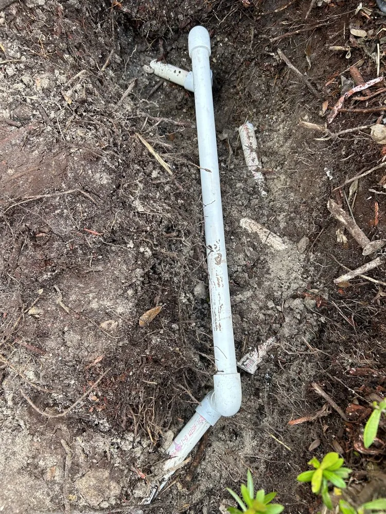 Slide of Gambino Service