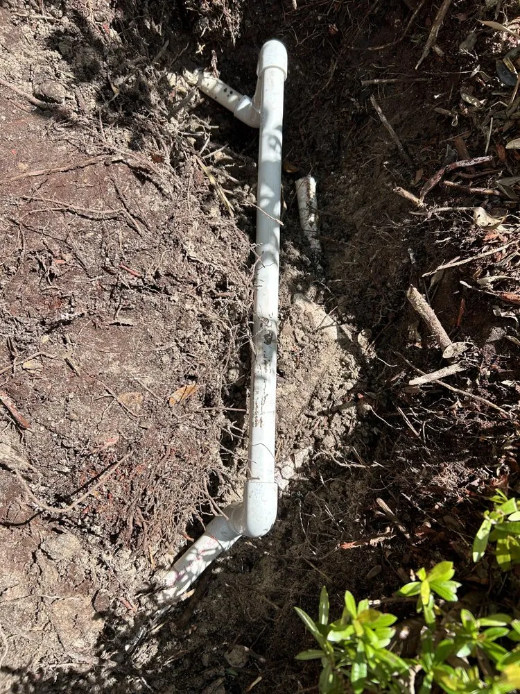 Slide of Gambino Service