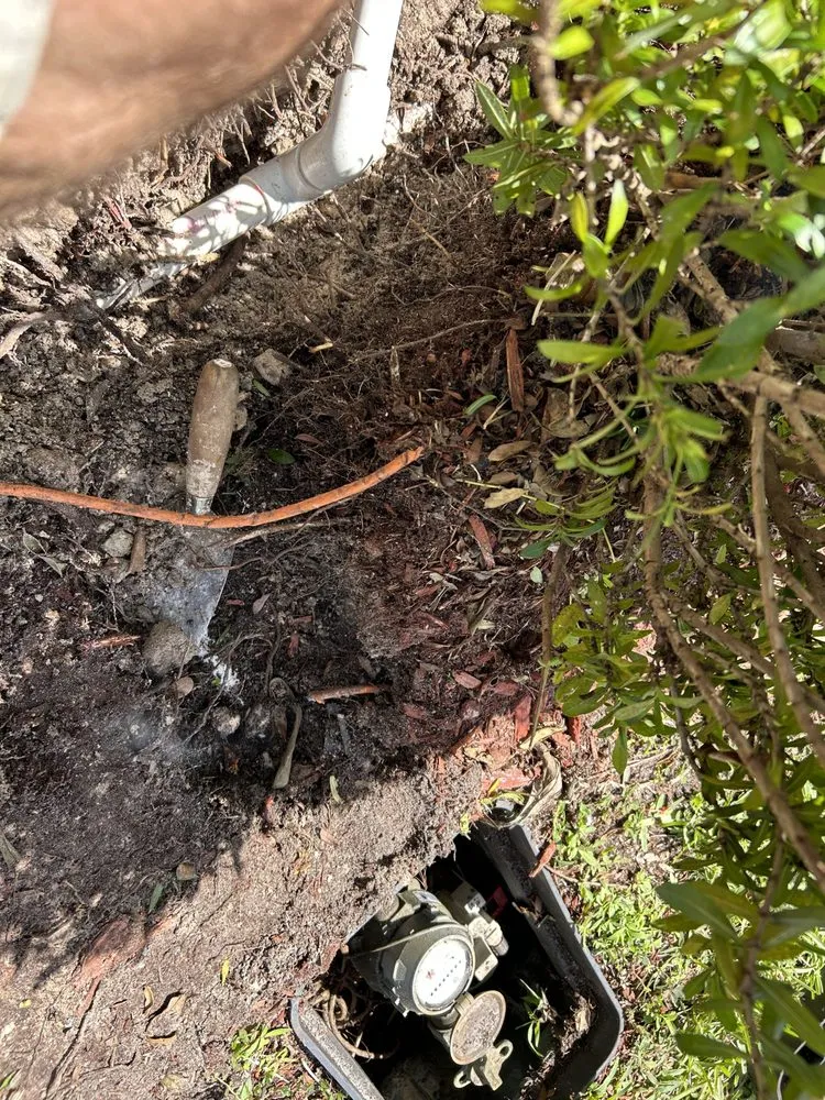 Slide of Gambino Service