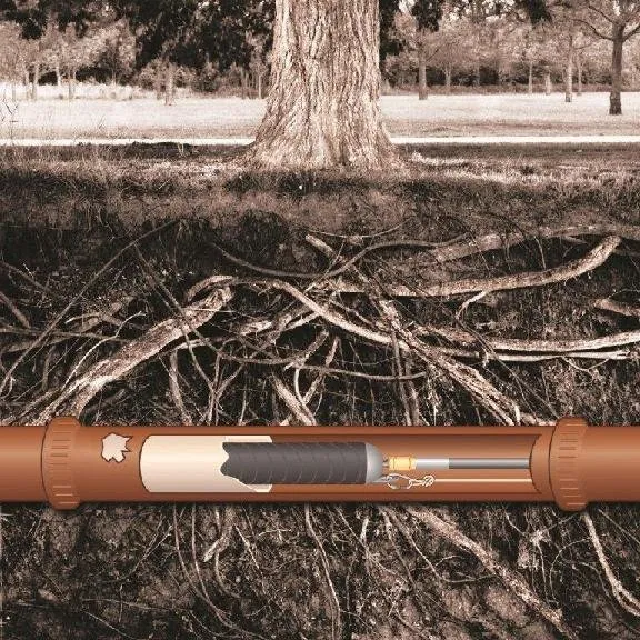 Slide of Gamble's Plumbing