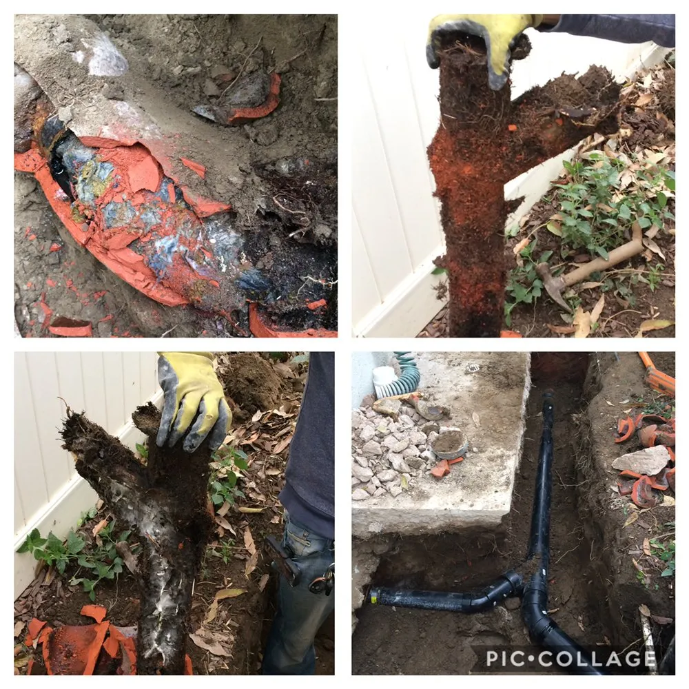 Slide of Gamma Plumbing