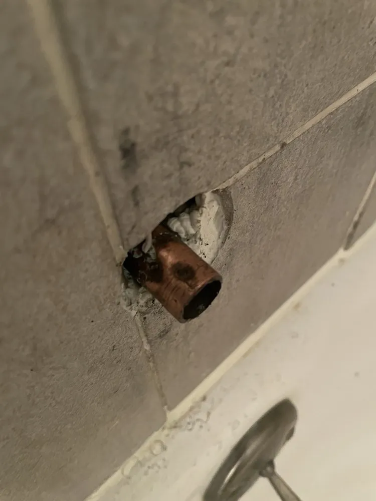 Slide of Gamma Plumbing